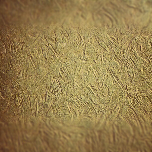 В номере офигенные обои, они как ковёр, смотреть можно бесконечно...